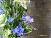 p1050166