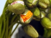 p1110268