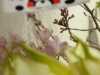 p1200434